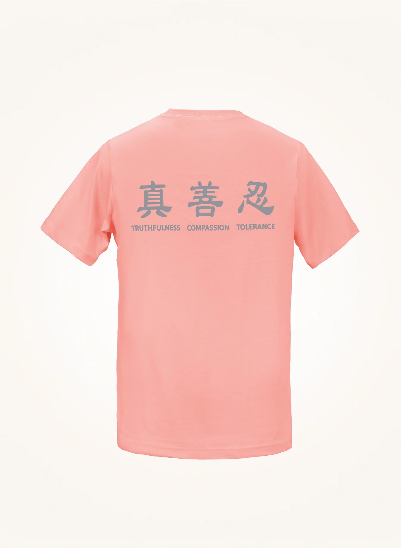 Truthfulness Compassion Tolerance T-Shirt
